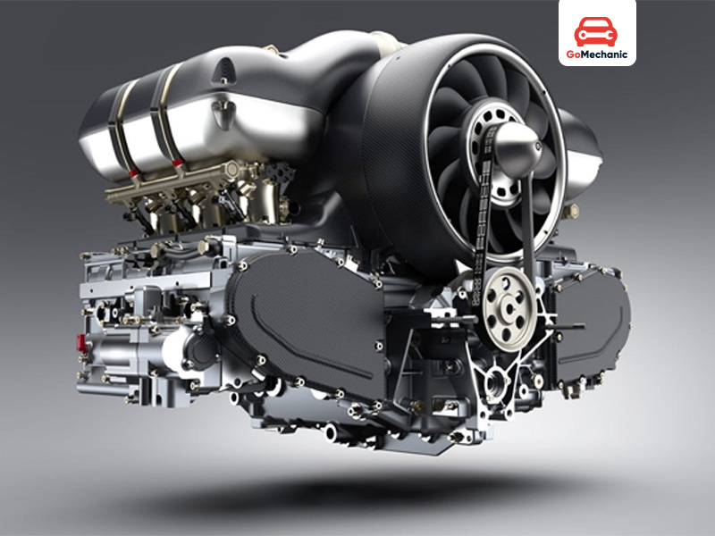 Which Oil Is Best For You?