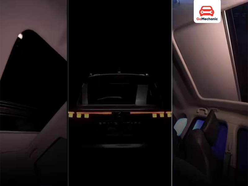 Highlighting the New Segment