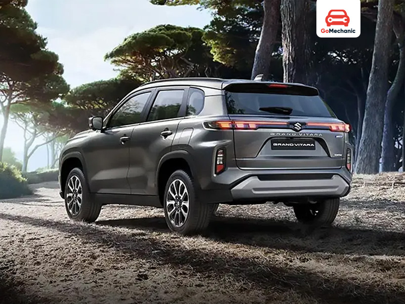 Who Should Consider the Maruti Suzuki Grand Vitara?