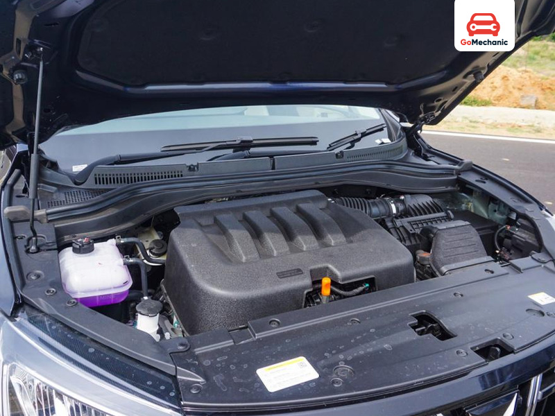 Power, Grit, and Elegance in One