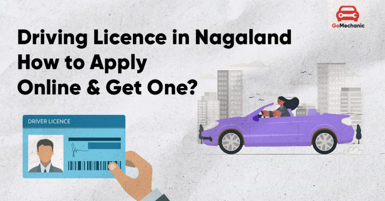 Driving Licence in Nagaland – How to Apply Online & Get One?