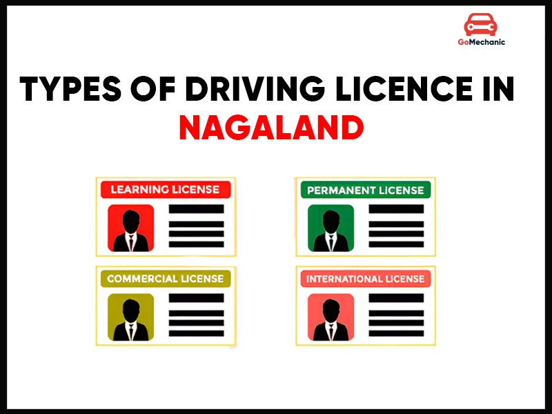 Types of Driving Licence in Nagaland