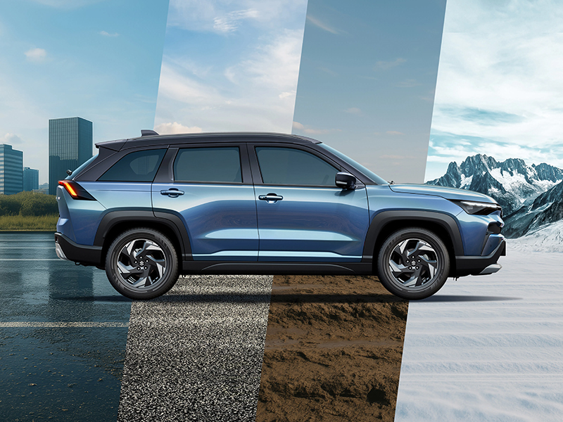 Maruti Suzuki Victoris Safety Rating: Global Standards