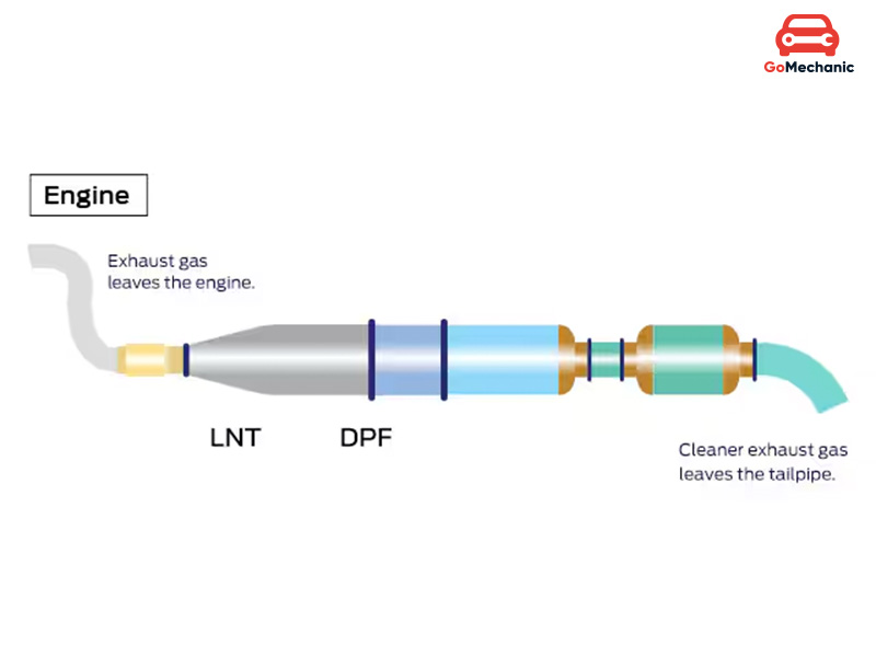 DPF Full Form and Meaning